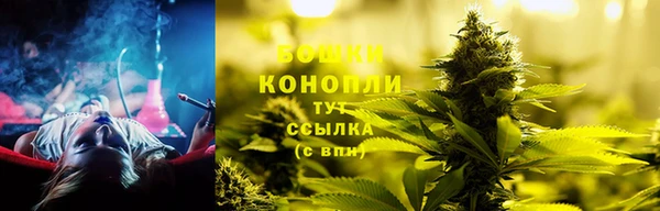 прущие грибы Белокуриха