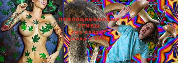 прущие грибы Армянск
