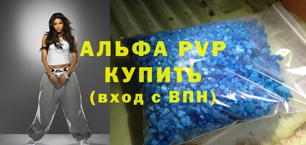 прущие грибы Белокуриха