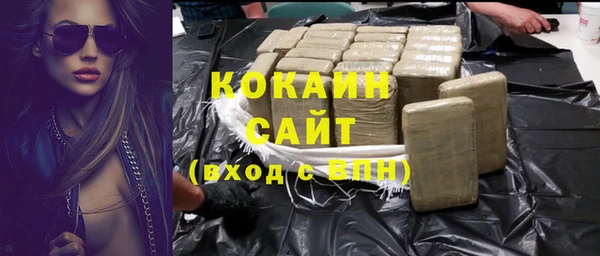 прущие грибы Белокуриха