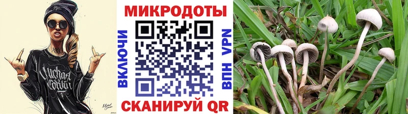 Псилоцибиновые грибы Psilocybine cubensis  Верхоянск 